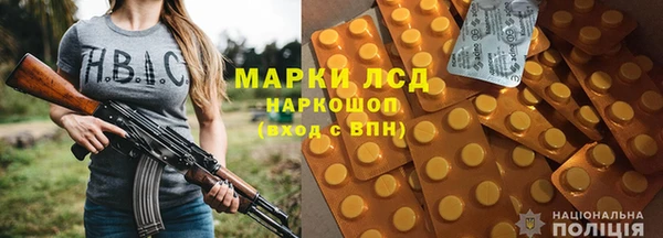 spice Аркадак